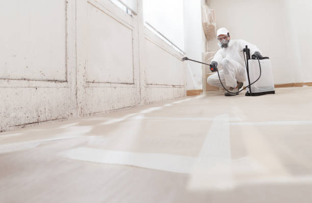 24/7 Emergency Basement Mold Remediation experts in Paeonian Springs, VA