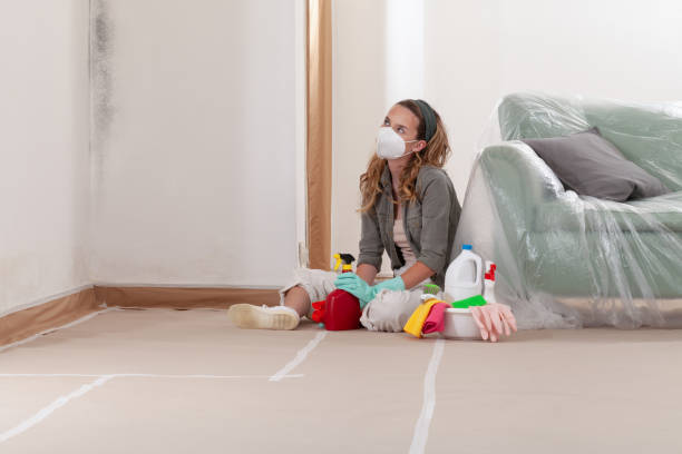 Reliable Basement Mold Remediation contractor in Paeonian Springs, VA by 24 Hour Mold Removal